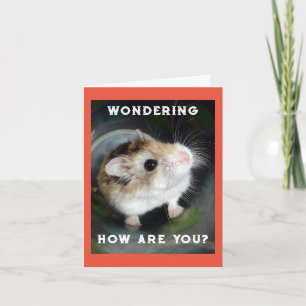 Hamster Wondering Note Card
