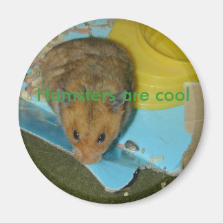 Hamsters are cool Magnet