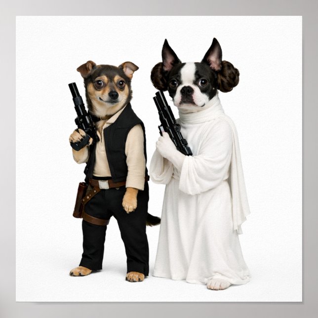 "Han & Leia" Poster (Front)