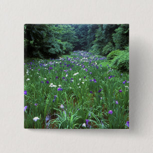 Hana Shobu (Japanese Water Iris), Meiji Shrine, 15 Cm Square Badge