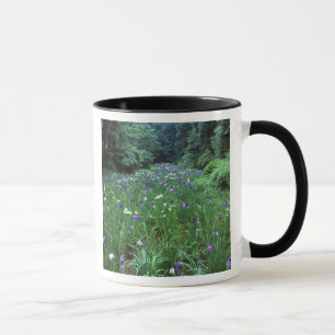 Hana Shobu (Japanese Water Iris), Meiji Shrine, Mug