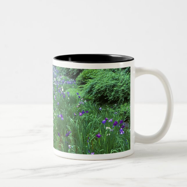 Hana Shobu (Japanese Water Iris), Meiji Shrine, Two-Tone Coffee Mug (Right)