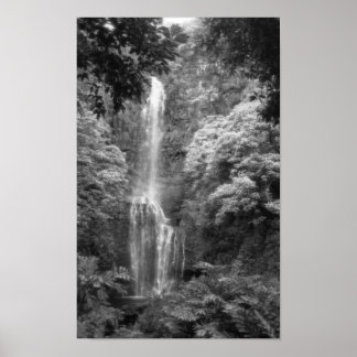 Hana Waterfall Poster