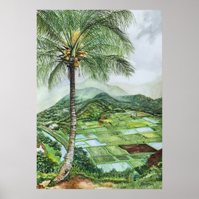 Hanalei Valley Lookout Poster (Front)