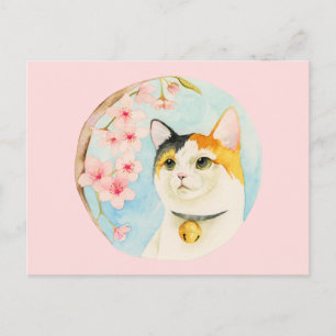 Hanami   Japanese Cartoon Cat Illustration Postcard