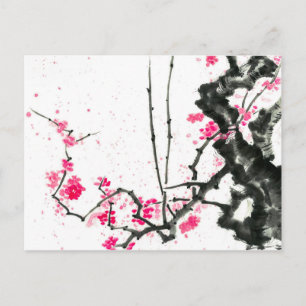 Hanami Sakura flowers bloom Postcard