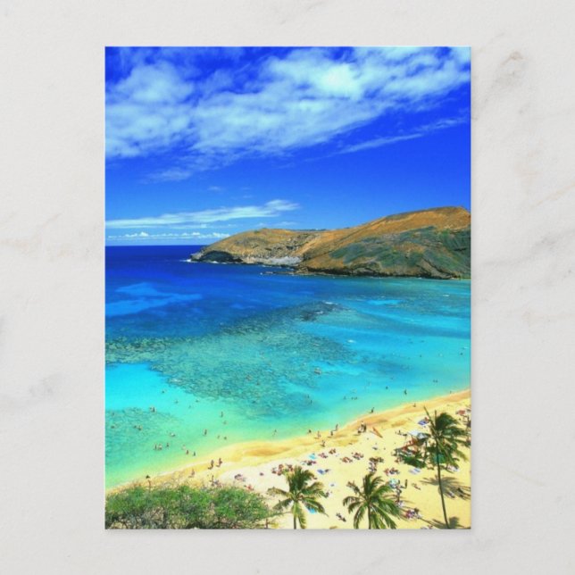 Hanauma Bay Beach Aloha! Postcard (Front)