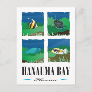 Hanauma Bay Hawaii - 2014 Vacation Postcard