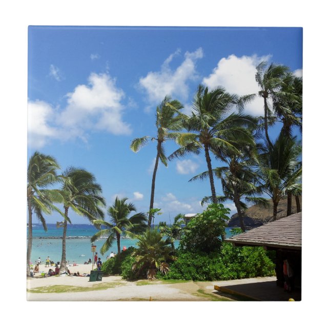 Hanauma Bay Hawaii Coconut Trees Ceramic Tile (Front)