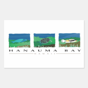 Hanauma Bay Hawaii Rectangular Sticker