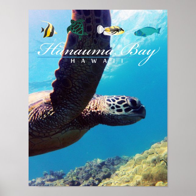 Hanauma Bay Hawaii Sea Turtle Poster (Front)