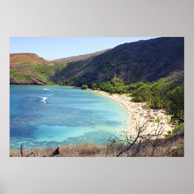 Hanauma Bay Poster (Front)