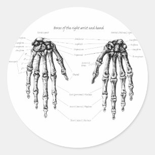 Hand Bones Details fl Classic Round Sticker
