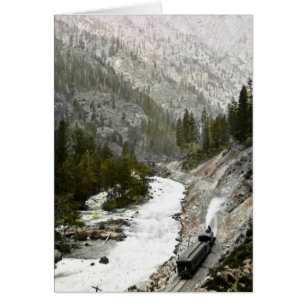 Hand Coloured Train Offcial Photographe