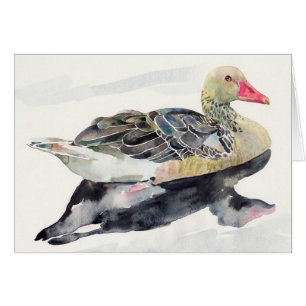 Hand Draw Watercolor Bird, Duck