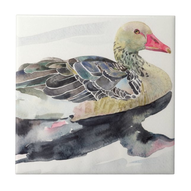 Hand Draw Watercolor Bird, Duck Ceramic Tile (Front)