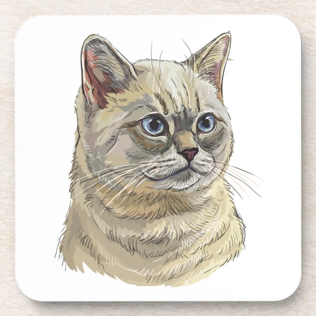 Hand drawing funny British cat Throw Pillow Coaster (Front)
