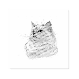 Hand drawing funny fluffy Ragdoll cat Self-inking Stamp