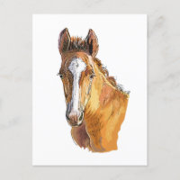Hand drawing little cute foal throw pillow wood wa