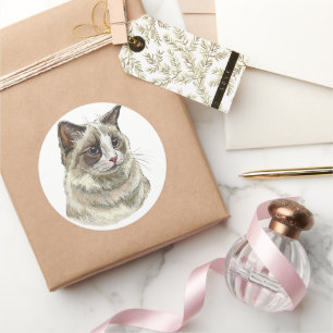 Hand drawing luffy Ragdoll cat Classic Round Sticker