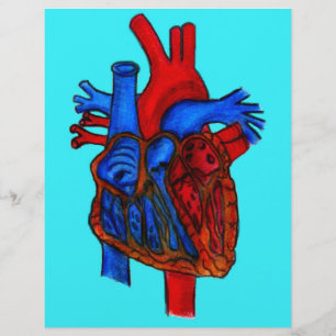 Hand Drawn Aqua Anatomical Heart