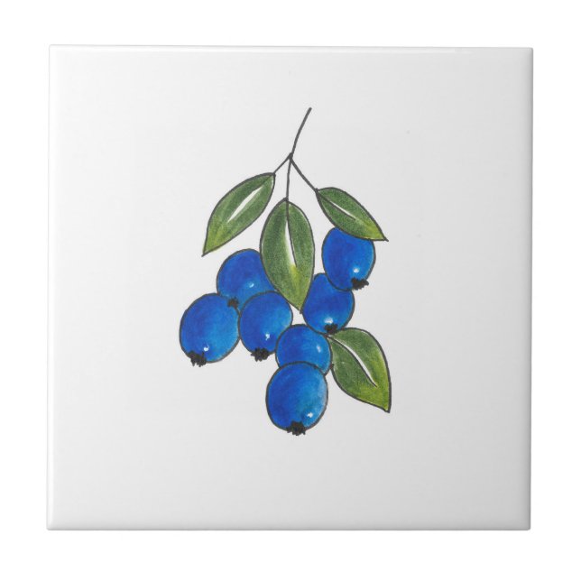 Hand Drawn Blueberries Ceramic Tile (Front)