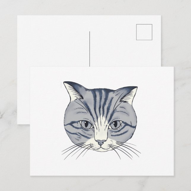 Hand drawn cat postcard (Front/Back)
