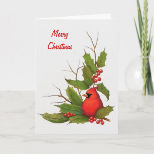 Hand-Drawn Christmas Illustration: Holly, Cardinal Holiday Card