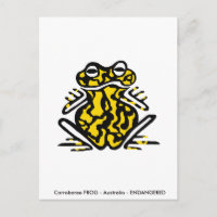 Hand drawn -Corroboree FROG - Nature -Amphibian