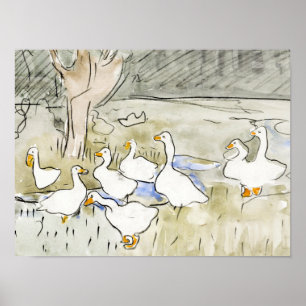 Hand Drawn Cute Duck Photos White Duck Clipart Fam Poster