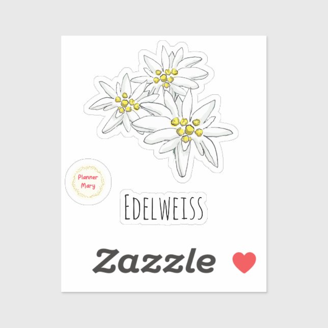 Hand-Drawn Edelweiss Alpine Wildflower Whimsical  (Sheet)
