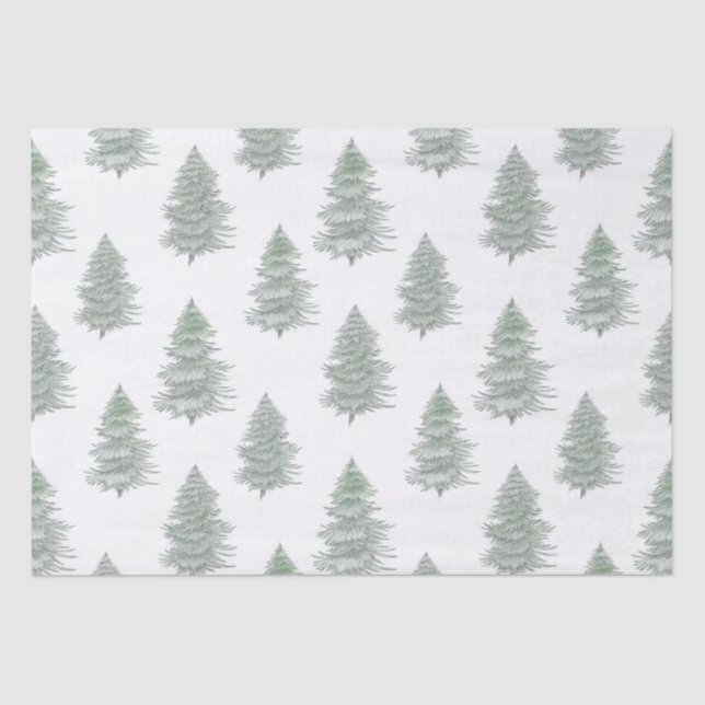Hand Drawn Evergreen Tree Pattern    Tissue Paper (Front)