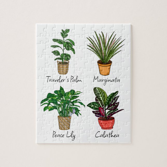 Hand Drawn House Plants Art   Jigsaw Puzzle (Vertical)