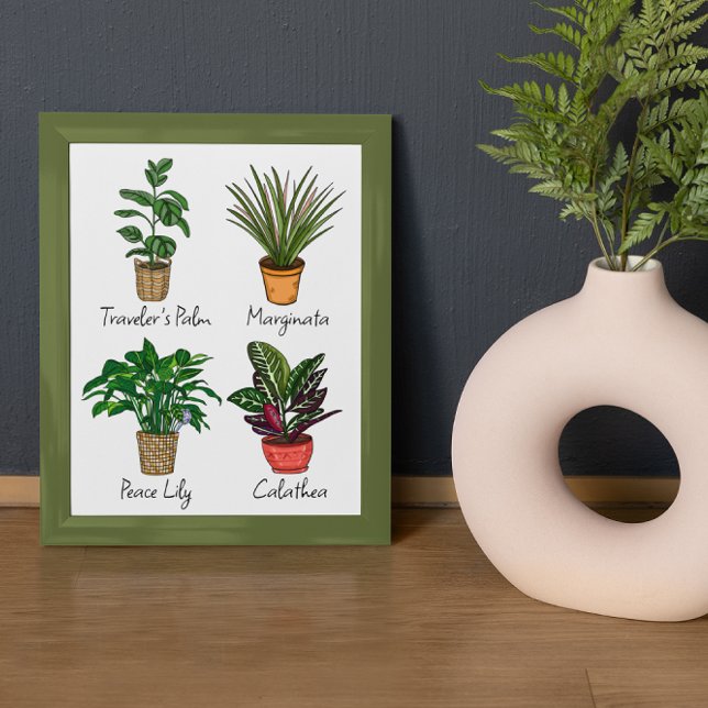 Hand Drawn House Plants Art   Photo Print (Creator Uploaded)