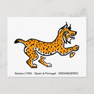 Hand drawn Iberian LYNX- Conservation - Ecology - Postcard