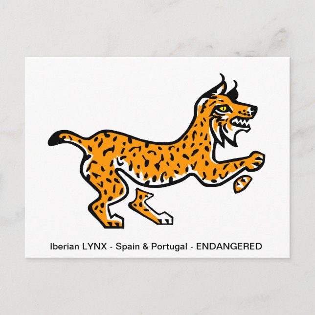 Hand drawn Iberian LYNX- Conservation - Ecology -  Postcard (Front)