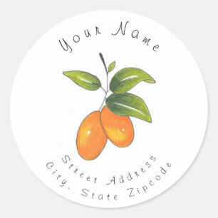 Hand Drawn Kumquats Classic Round Sticker