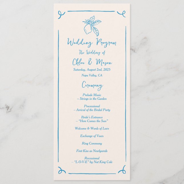 Hand Drawn Lemon Flat Program (Front)