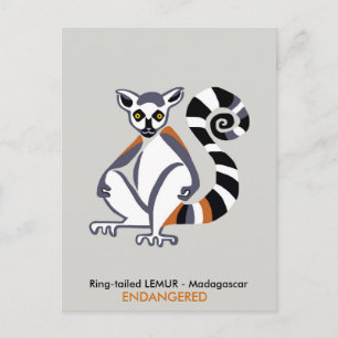 Hand drawn - LEMUR - Endangered animal - Wildlife Postcard