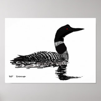 Hand drawn Loon Poster