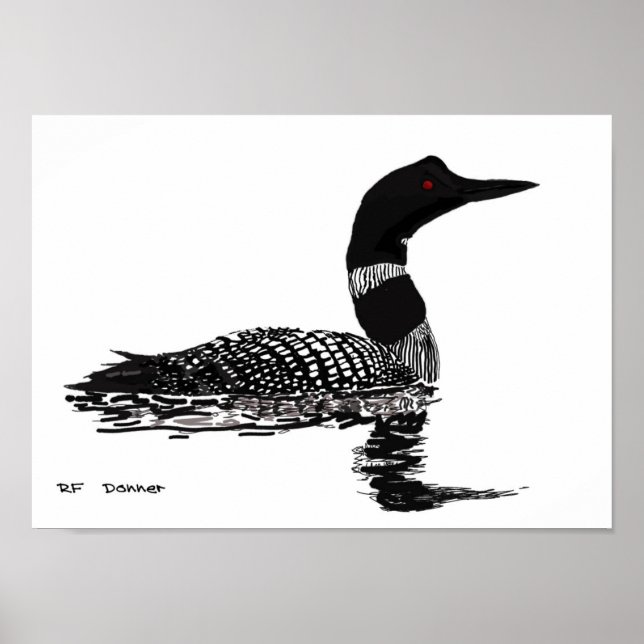 Hand drawn Loon Poster (Front)