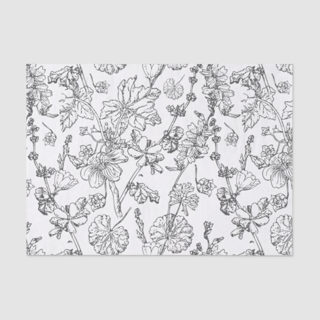 Hand Drawn Mallow Medicinal Cosmetic Wildflower Ti Tissue Paper (Front)
