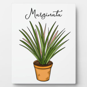 Hand drawn Marginata Plaque