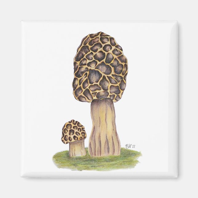 Hand Drawn Morel Mushroom Magnet (Front)