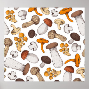 Hand-drawn mushrooms: food background. poster