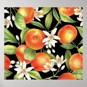 Hand Drawn Oranges: Floral Illustration. Poster