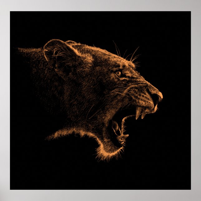 Hand drawn portrait of Lioness. Graphical sketch o Poster (Front)