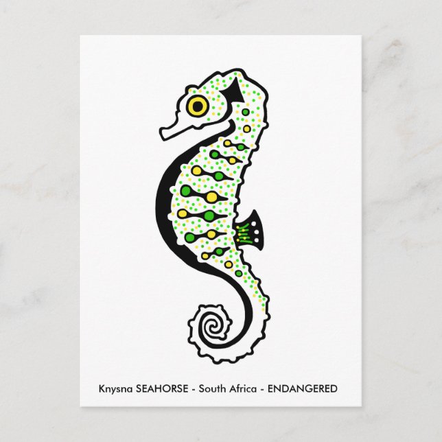 Hand drawn -  SEAHORSE- Animal lover - - Wildlife Postcard (Front)