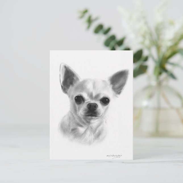 Hand Drawn Short Haired Chihuahua  Postcard (Standing Front)
