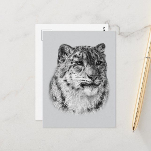 Hand-Drawn Snow Leopard  Postcard (Front/Back In Situ)